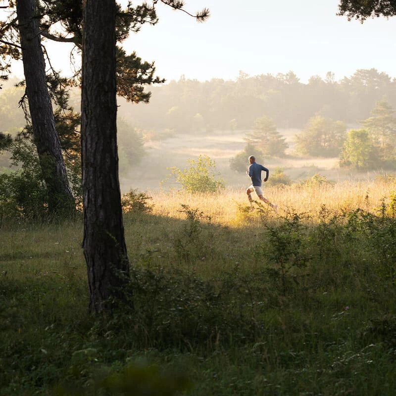 Löpare på en stig i ett solbelyst landskap
